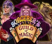 Sorcerer`s Guild Of Magic